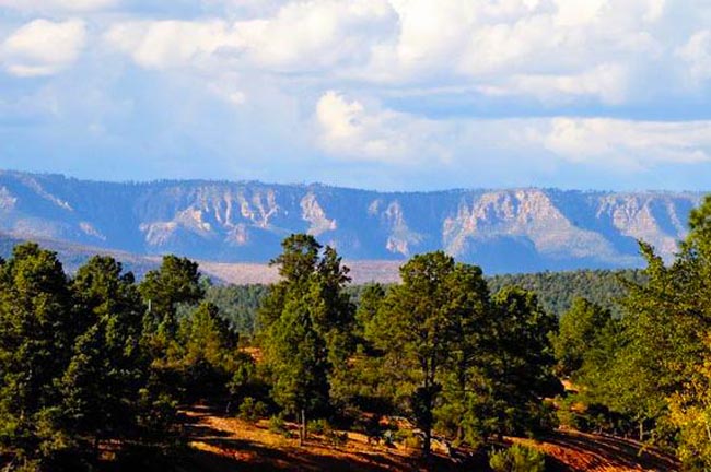Mogollon Rim